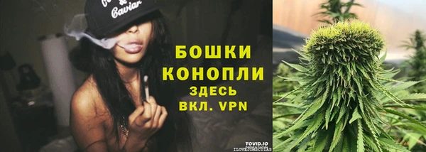 гидра Нязепетровск
