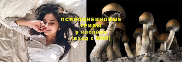 apvp Нягань