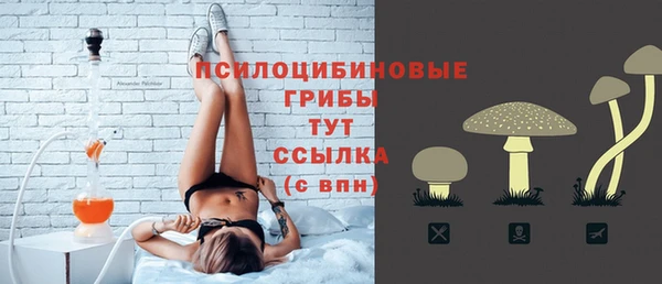 гидра Нязепетровск
