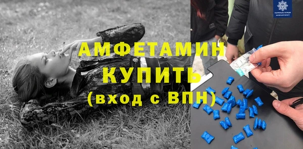 дмт Инта